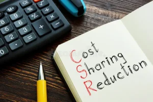 Cost-Sharing Reduction: Explained